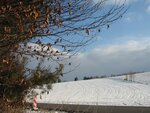 IMG_1943.jpg