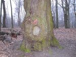Bild 624.jpg
