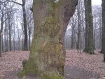 Bild 626.jpg