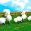 cartoon_0206.gif cartoon_0206.gif