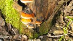 IMG_1986.jpg