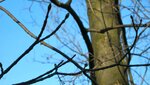 IMG_1999.jpg