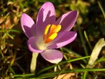 05.02.11 004.jpg