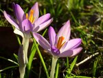 05.02.11 012.jpg