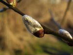 05.02.11 068.jpg