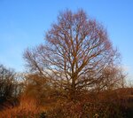 05.02.11 113.jpg