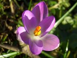 05.02.11 006.jpg