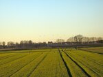 IMG_2024.jpg