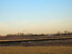 IMG_2029.jpg
