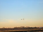 IMG_2032.jpg