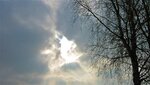 IMG_2033.jpg
