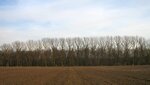 IMG_2036.jpg