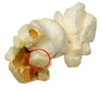 popcorn.jpg