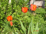 DSC00723.JPG