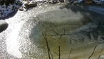 IMG_2071.jpg