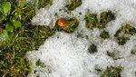 IMG_2076.jpg