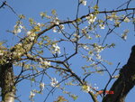 DSC00708.JPG