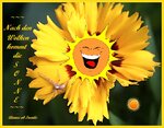 sonne1.jpg sonne1.jpg
