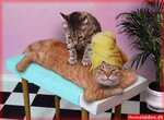 Kat%20Massage.jpg Kat%20Massage.jpg