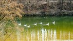 IMG_2103.jpg