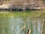IMG_2110.jpg