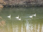 IMG_2104.jpg