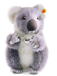 koala4.jpg