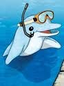 delfin.jpg delfin.jpg