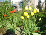 DSC00724.JPG