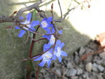 15.3.11 086.JPG