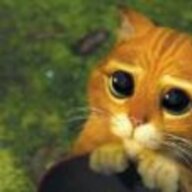 Stiefelkater