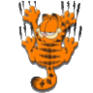 Papyrux