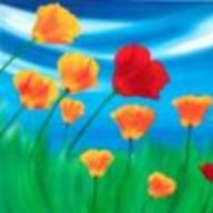 flowershower