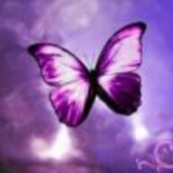 Butterfly88