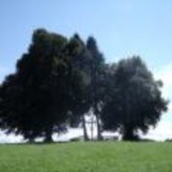 Meisenfrei