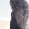 kiri
