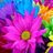 Colorup