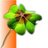 ropoe
