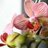 Orchidee007