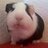 Sibel
