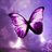 Butterfly88