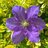 Sucherin64